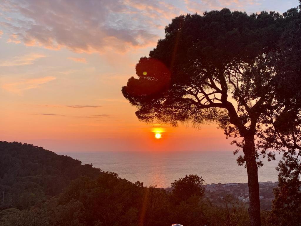 Villa Gemma Λιβόρνο Εξωτερικό φωτογραφία